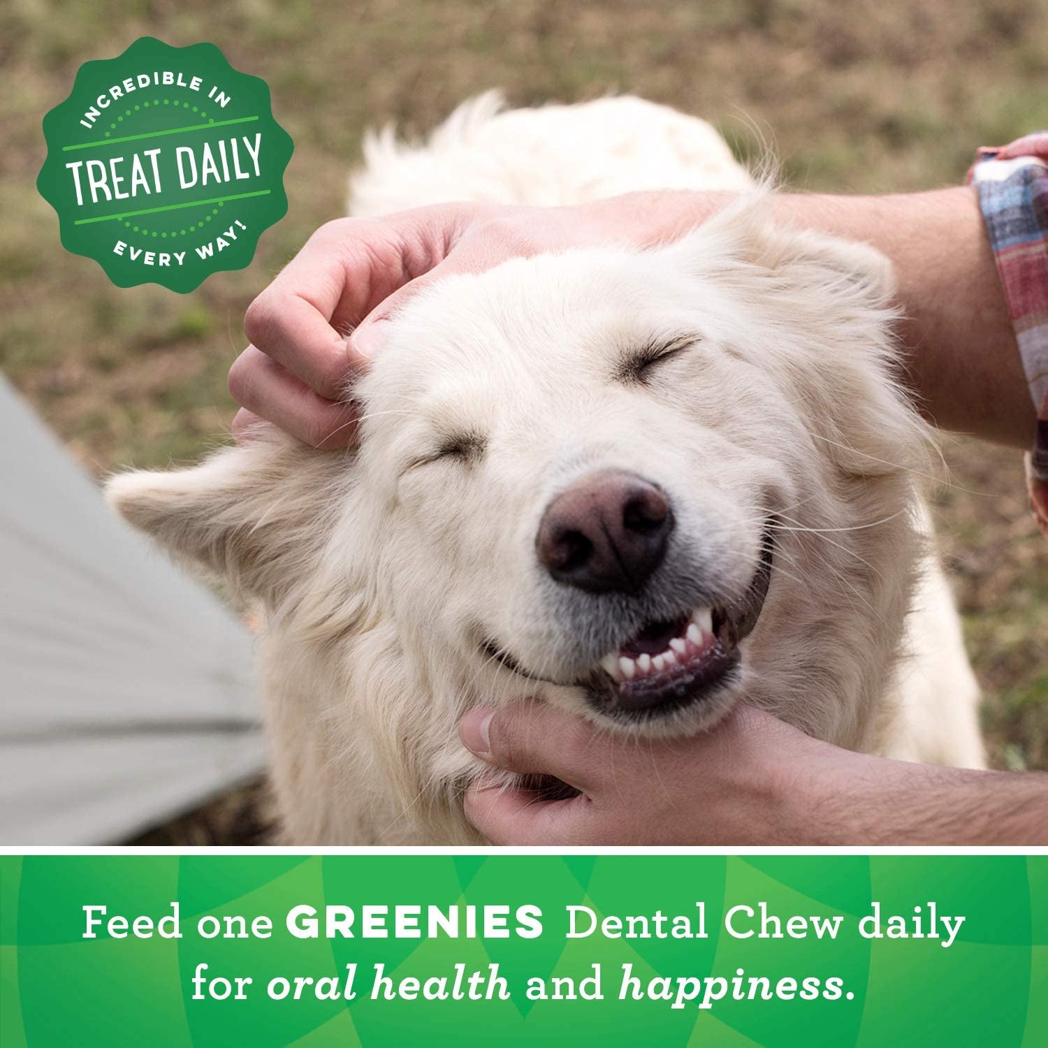 Original Large Natural Dog Dental Care Chews Oral Health Dog Treats, 6 Oz. Pack (4 Treats)